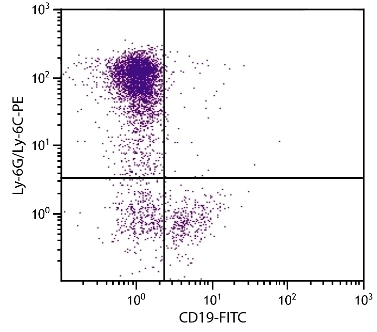 Ly-6G/Ly-6C Antibody [RB6-8C5] (PE)