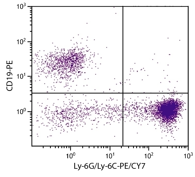 Ly-6G/Ly-6C Antibody [RB6-8C5] (PE-Cy7)