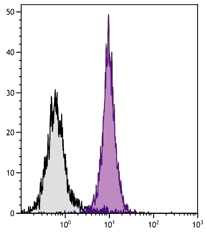 H-2Db Antibody [28-14-8]
