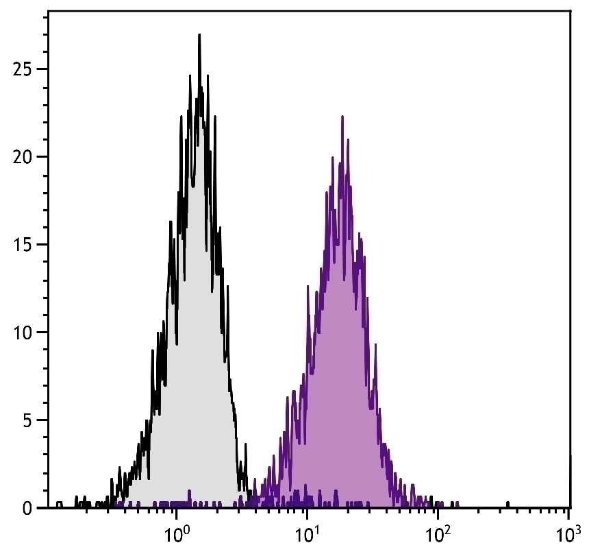 H-2Db Antibody [28-14-8] (PE)