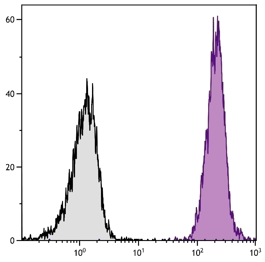 H-2Kd/H-2Dd Antibody [34-1-2S] (PE)