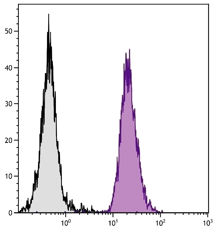 H-2Dd Antibody [34-5-8S] (FITC)