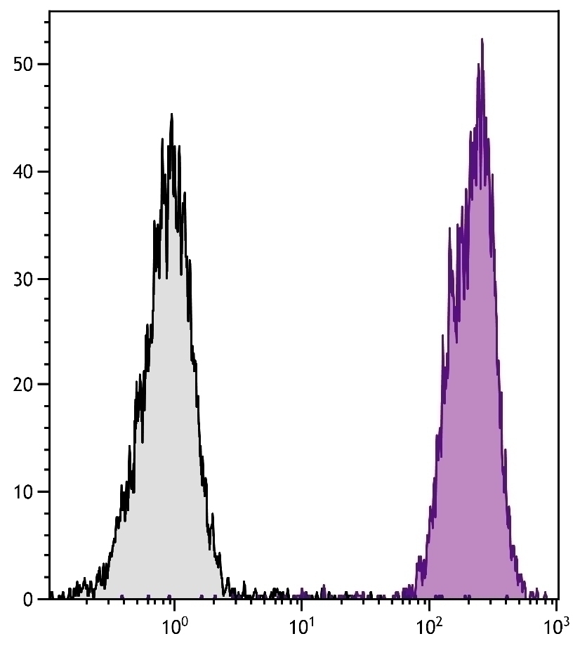 H-2Dd Antibody [34-5-8S] (PE)