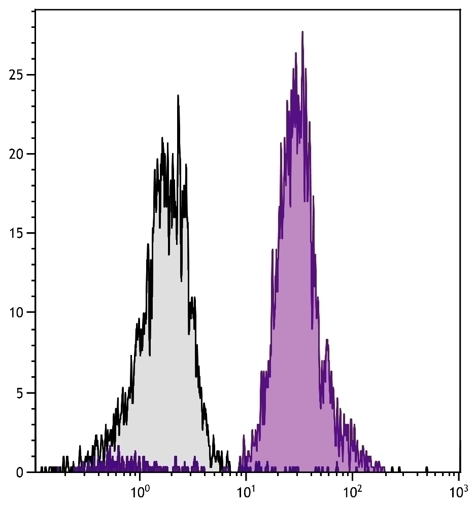H-2Db Antibody [27-11-13S] (PE)