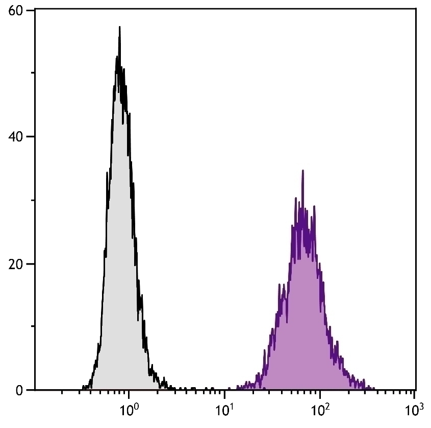 CD86 Antibody [2D10] (FITC)