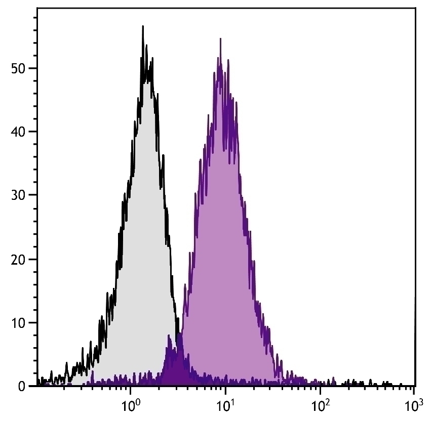 H-2Kk Antibody [36-7-5] (PE)