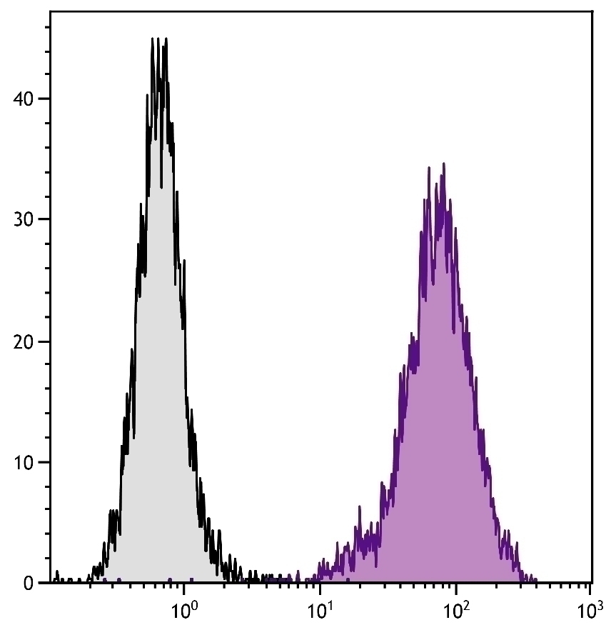 CD107b Antibody [ABL-93] (APC)