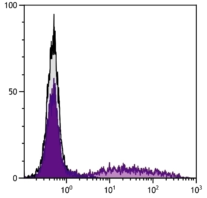 RLA-DR Antibody [RDR34] (FITC)