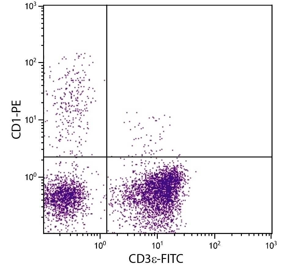 CD1 Antibody [76-7-4] (PE)