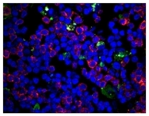 CD3e Antibody [PPT3] (PE-Cy5)