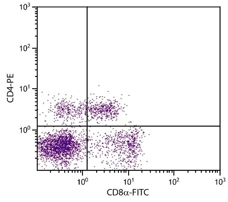 CD8a Antibody [76-2-11] (FITC)