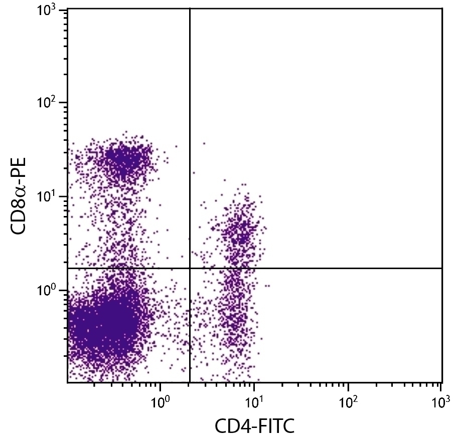CD8a Antibody [76-2-11] (PE)