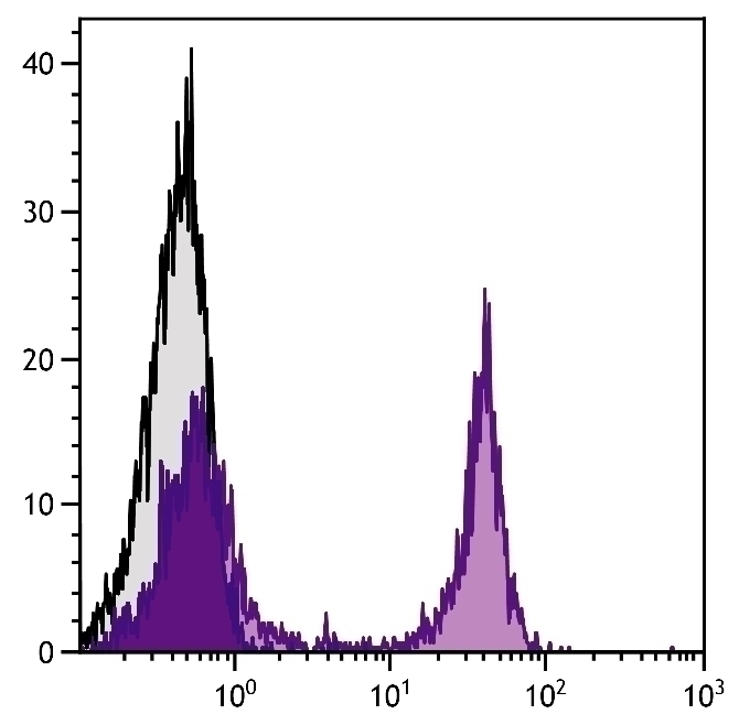 Biotin Antibody [SB58c] (PE)
