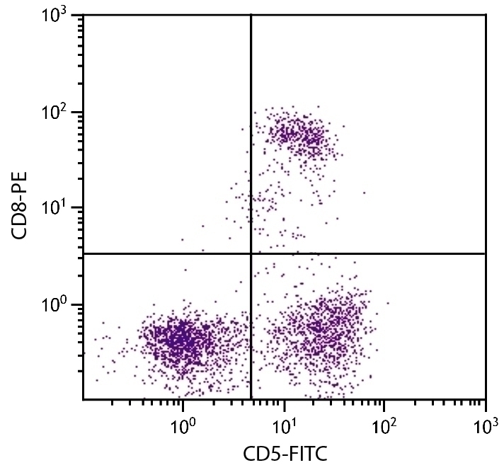 CD5 Antibody [f43] (FITC)