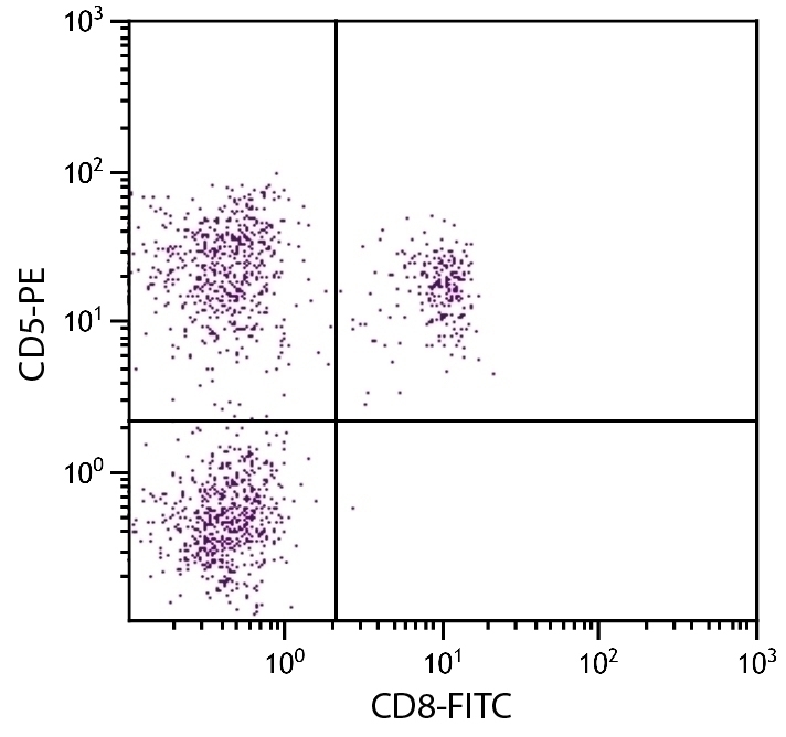 CD5 Antibody [f43] (PE)