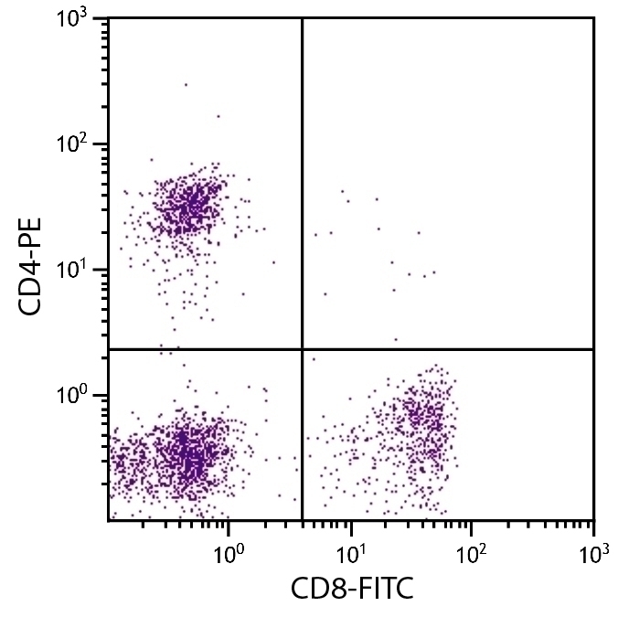 CD8 Antibody [fCD8] (FITC)