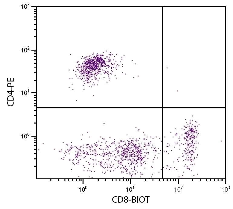 CD8 Antibody [fCD8] (Biotin)