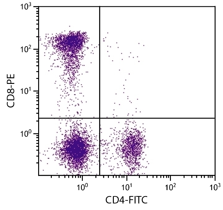 CD8 Antibody [fCD8] (PE)