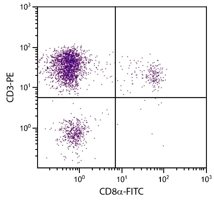 CD3 Antibody [CT-3] (PE)