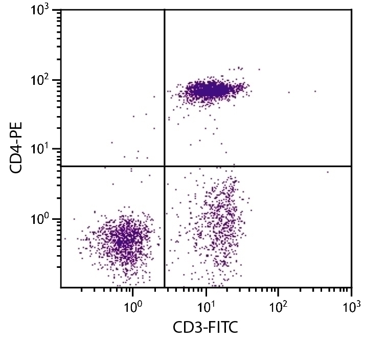 CD4 Antibody [CT-4] (PE)