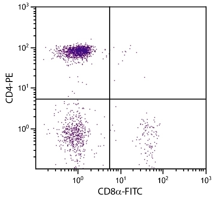 CD8a Antibody [CT-8] (FITC)