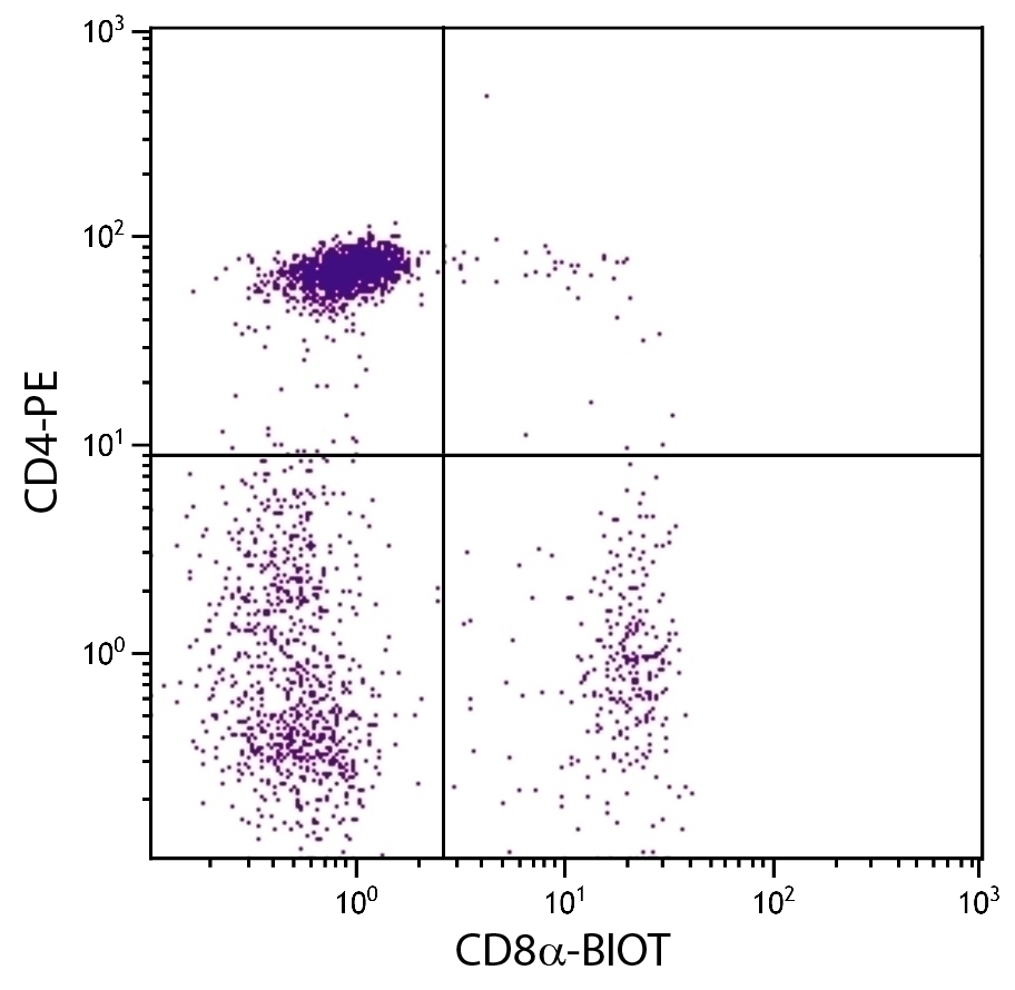 CD8a Antibody [CT-8] (Biotin)