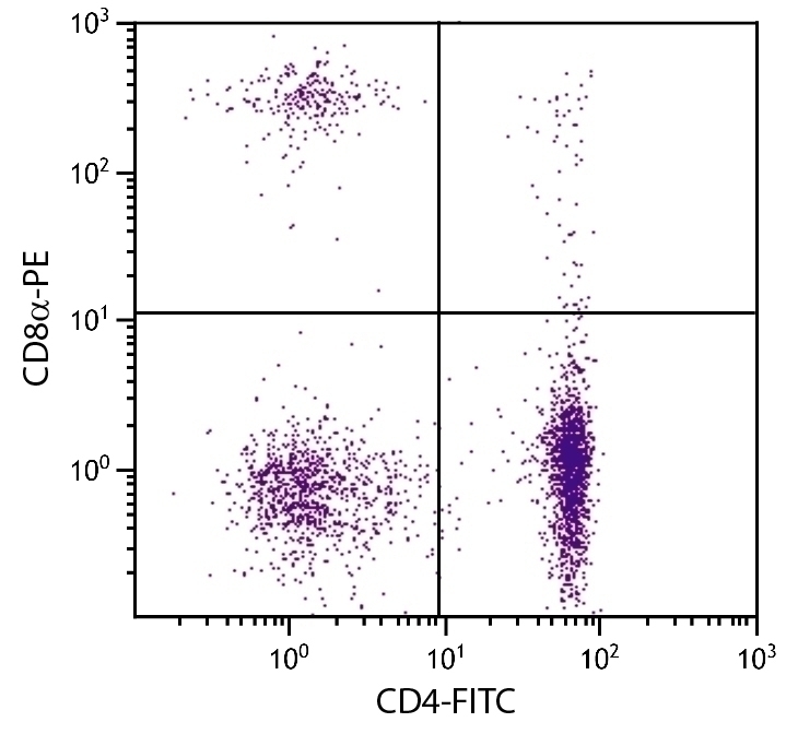CD8a Antibody [CT-8] (PE)