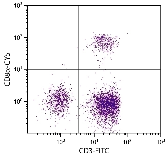 CD8a Antibody [CT-8] (Cy5)