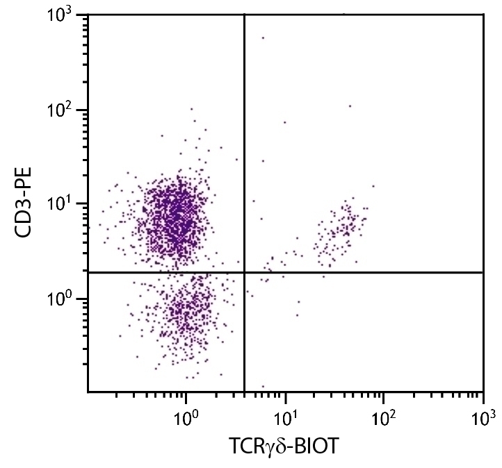 TCRgd Antibody [TCR-1] (Biotin)