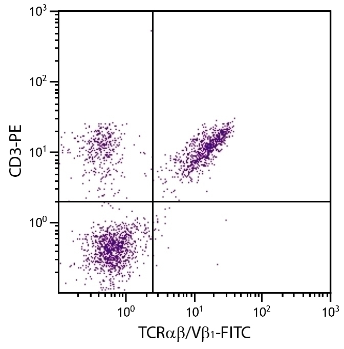 TCRab/Vb1 Antibody [TCR-2] (FITC)