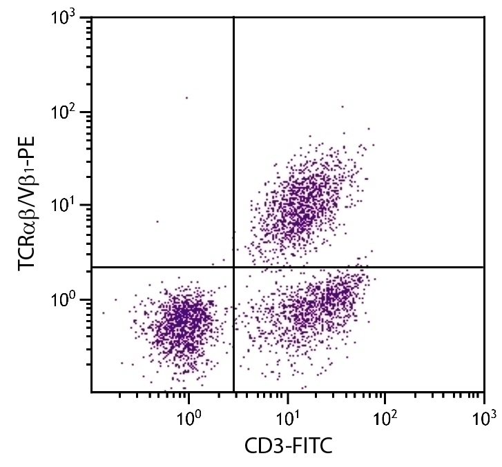 TCRab/Vb1 Antibody [TCR-2] (PE)