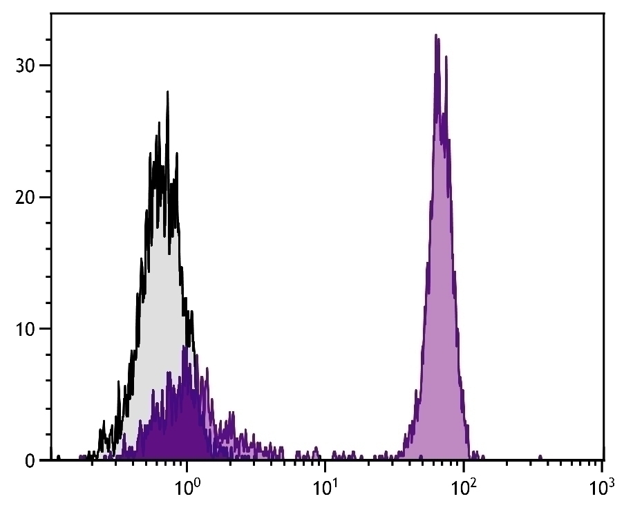 CD4 Antibody [EP96] (Biotin)