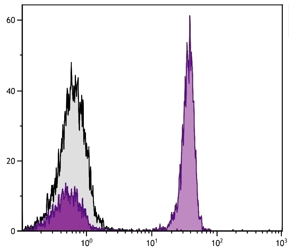 CD4 Antibody [EP96] (PE)