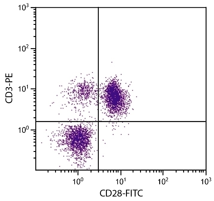 CD28 Antibody [AV7] (FITC)