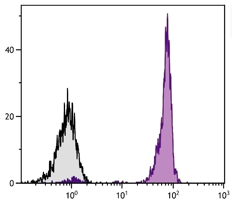 CD45 Antibody [LT40] (FITC)