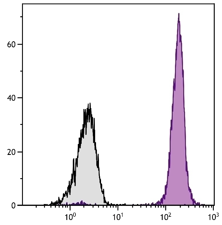 CD45 Antibody [LT40] (PE)