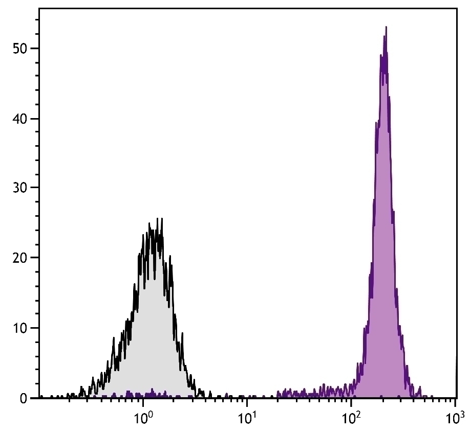 CD45 Antibody [LT40] (APC)