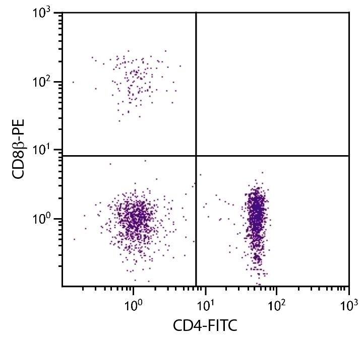CD8beta Antibody [EP42] (PE)