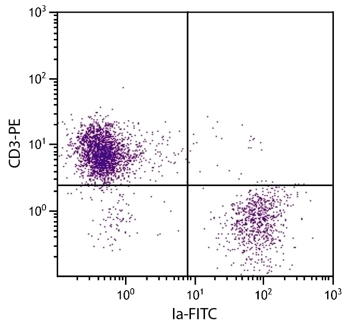 Ia Antibody [CIa] (FITC)
