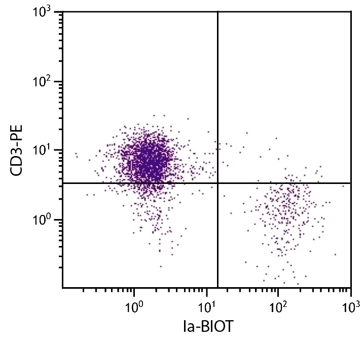 Ia Antibody [CIa] (Biotin)