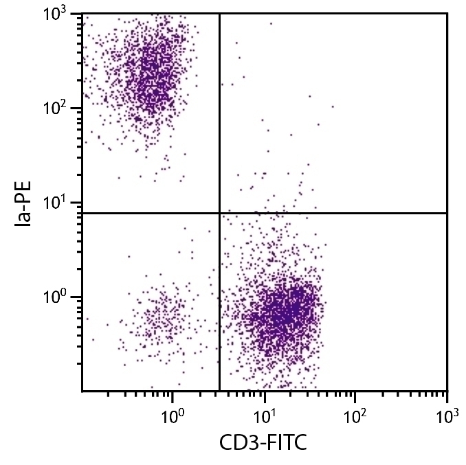 Ia Antibody [CIa] (PE)