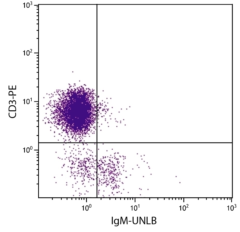 IgM Antibody [M-4]