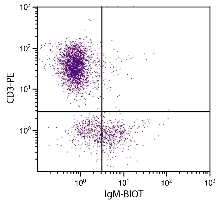 IgM Antibody [M-4] (Biotin)