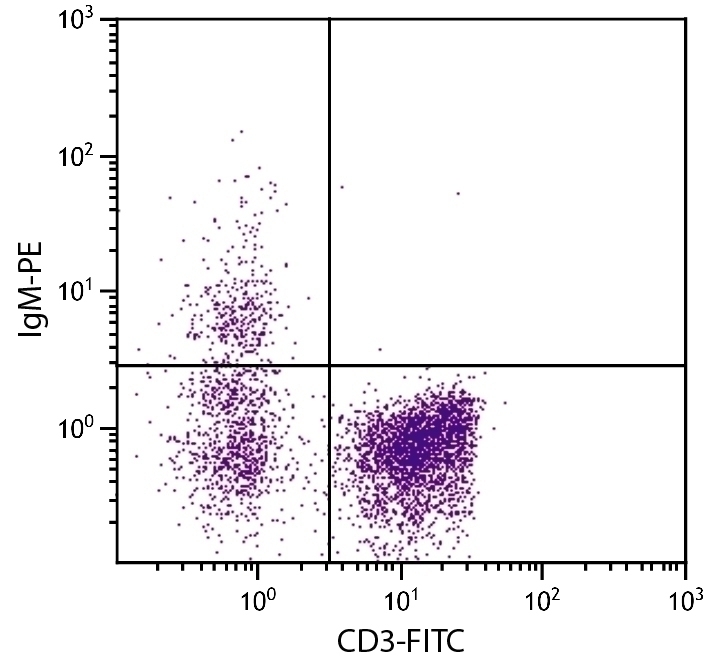 IgM Antibody [M-1] (PE)