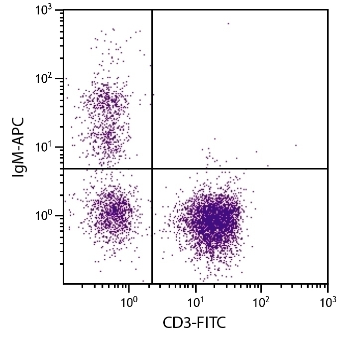 IgM Antibody [M-1] (APC)