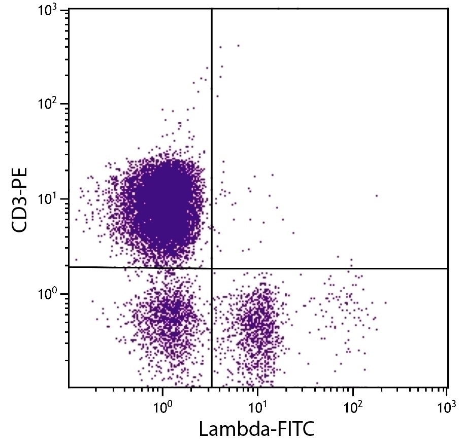 Lambda Antibody [L-1] (FITC)