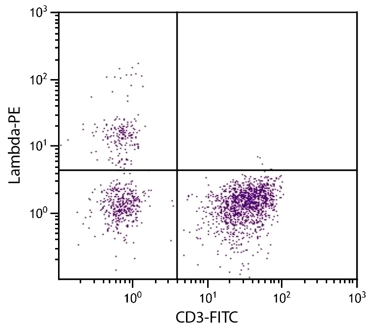 Lambda Antibody [L-1] (PE)