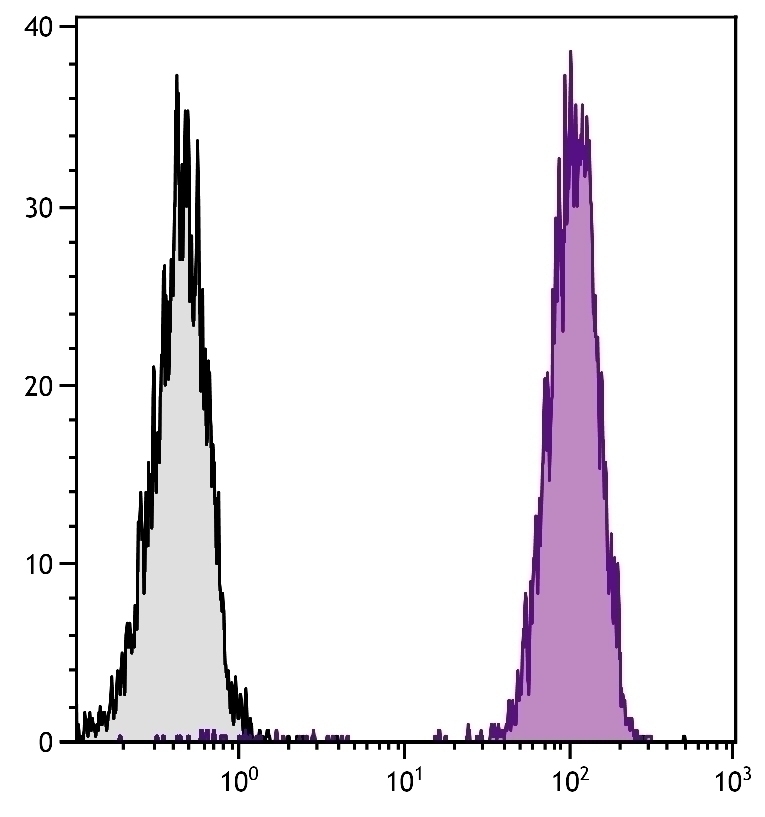 MHC Class I Antibody [F21-2]