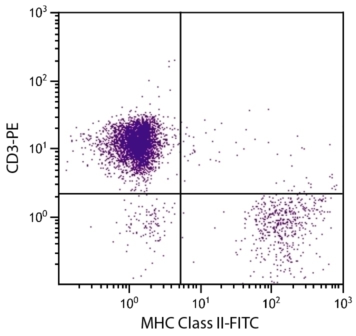MHC Class II Antibody [2G11] (FITC)