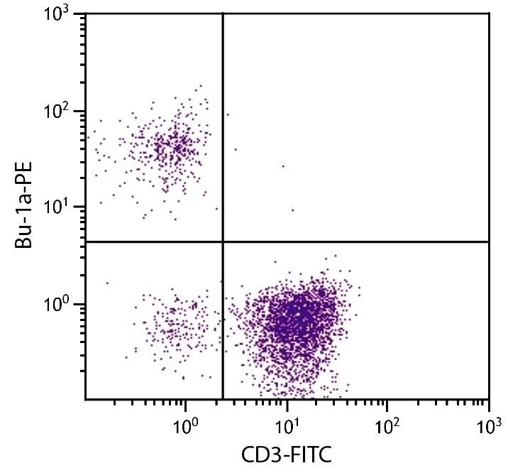 Bu-1a Antibody [21-1A4] (PE)